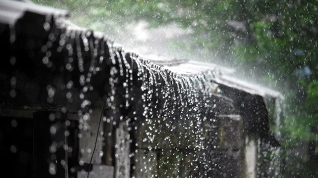 আষাঢ়ের প্রথম দিন থেকে সারা দেশে টানা বৃষ্টির আভাস
