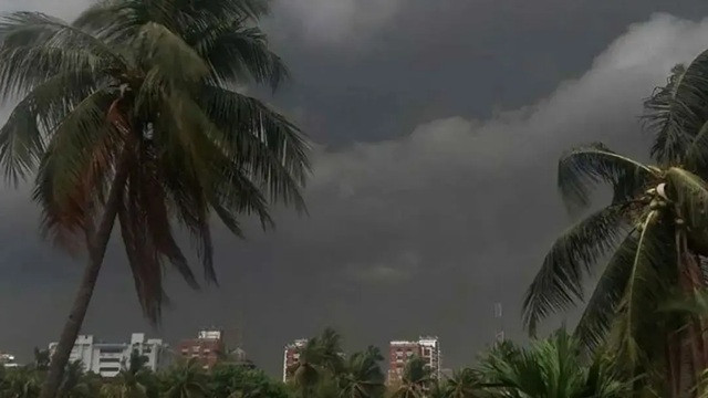 ছবি ‍: সংগৃহীত