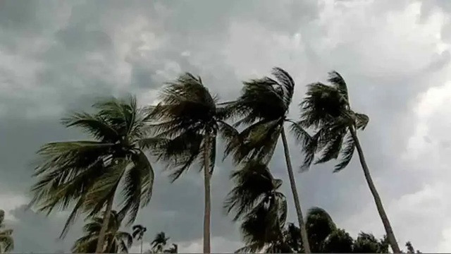 ছবি ‍: সংগৃহীত
