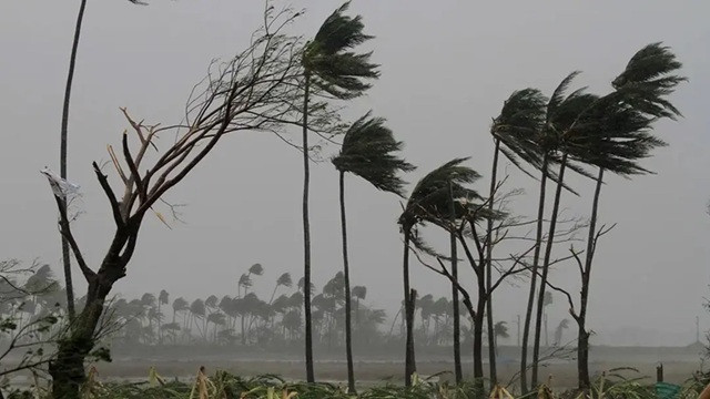 ছবি ‍: সংগৃহীত