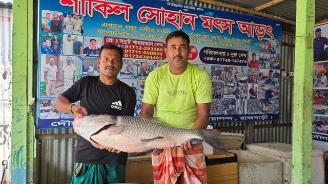 পদ্মার এক কাতল ৪৬ হাজার টাকায় বিক্রি