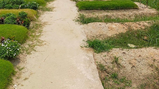 বিকেলে রায়েরবাজার কবরস্থান থেকে অজ্ঞাত লাশ উত্তোলন শুরু