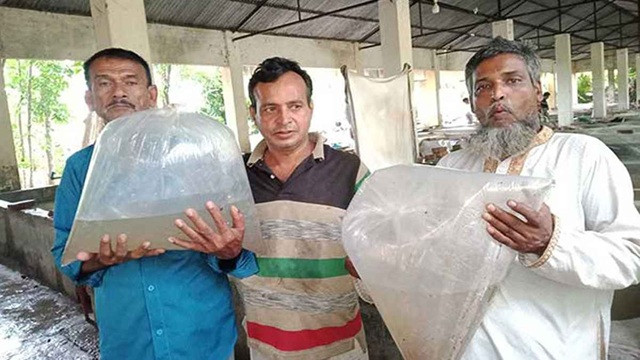 ছবি ‍: সংগৃহীত