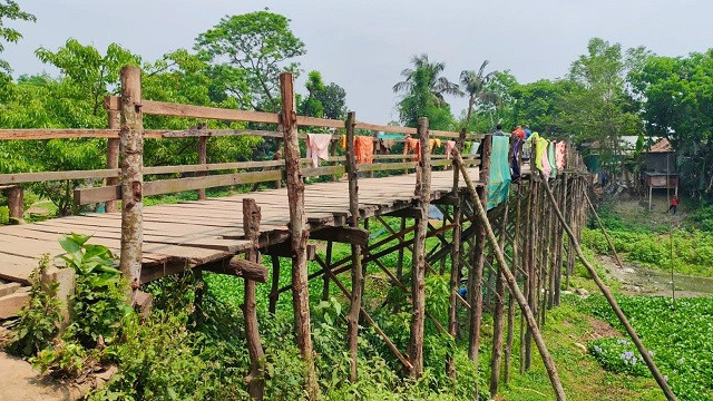 ছবি ‍: সংগৃহীত