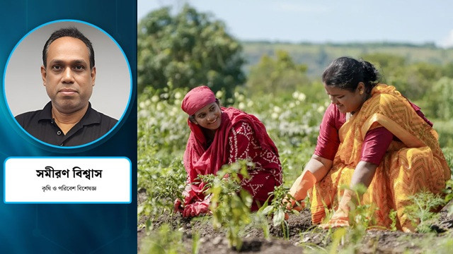 কৃষকের অর্থনৈতিক নিরাপত্তা কোন পথে?