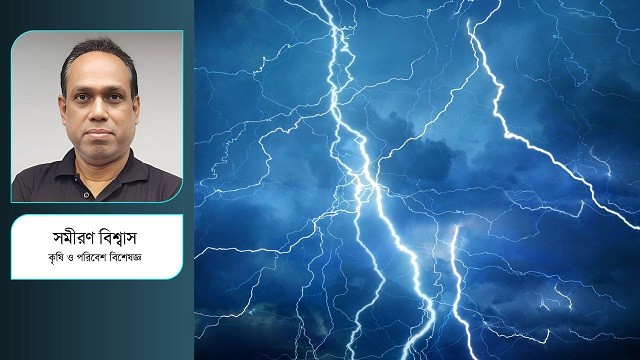 বজ্রপাত প্রতিরোধে তালগাছের ভূমিকা ও বৈজ্ঞানিক যুক্তি