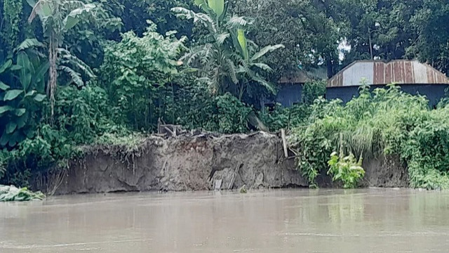 মির্জাপুরে নদী ভাঙনে বিলীন হওয়ার পথে বিএনবি উচ্চ বিদ্যালয়, আতঙ্কে ৬০০ শিক্ষার্থী