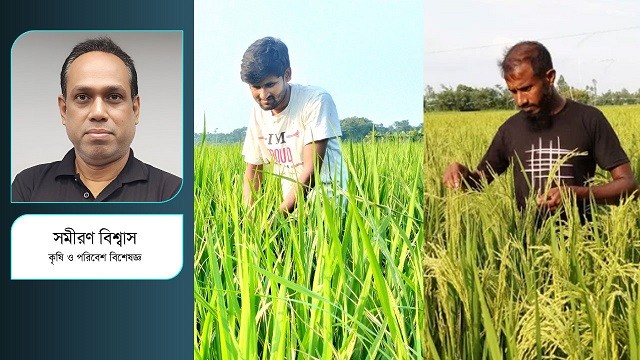 আউশ ও আমন মৌসুমে কৃষকের বিকল্প কী?