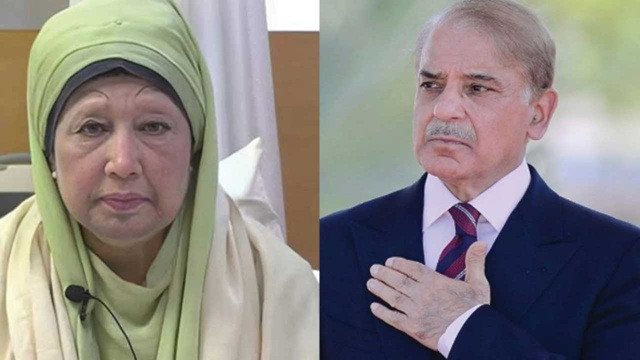 ফাইল ছবি