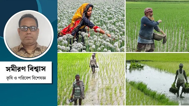 জাতীয় বাজেটে কৃষির গুরুত্ব ও বাস্তবতা