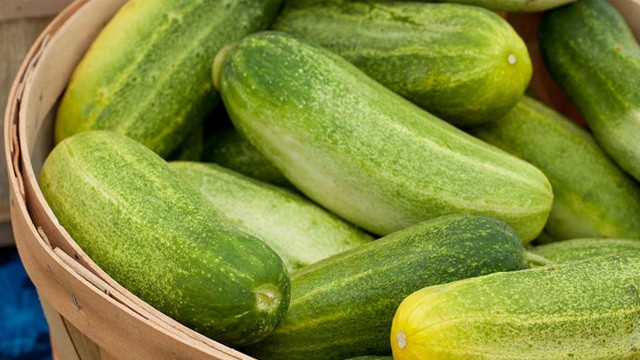 শসা খেলে কি পেটের চর্বি কমে?