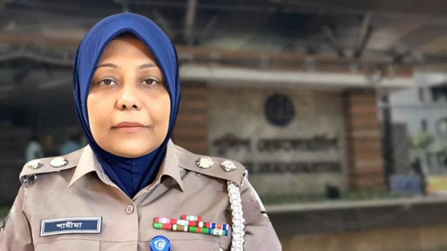 ফাইল ছবি