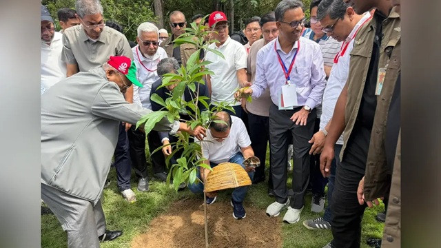 ২৫ কোটি বৃক্ষরোপণ কর্মসূচির উদ্বোধন করলেন প্রধানমন্ত্রী