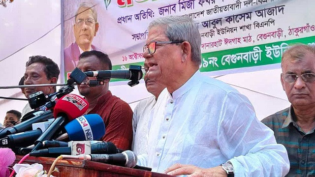 অন্তর্বর্তীকালীন সরকার দুর্বল, পেছনে কোনো লোকই নাই