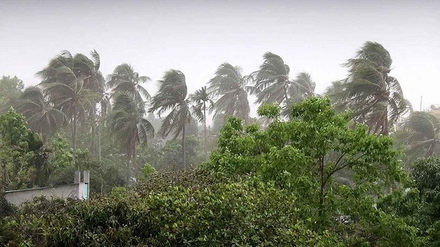 সন্ধ্যার মধ্যে দেশের ১৮ জেলায় ঝড়ের পূর্বাভাস