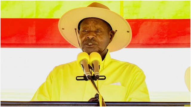 ছবি-সংগৃহীত