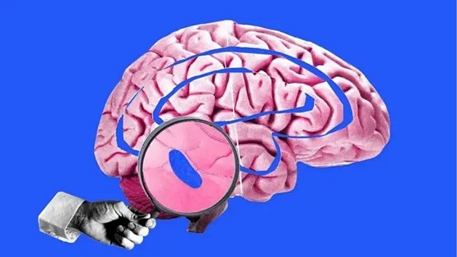 ঘুমের সময় মস্তিষ্ক কী কী কাজ করে