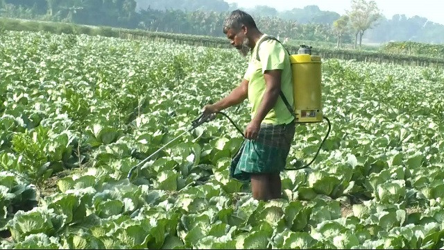 ছবি : সংগৃহীত