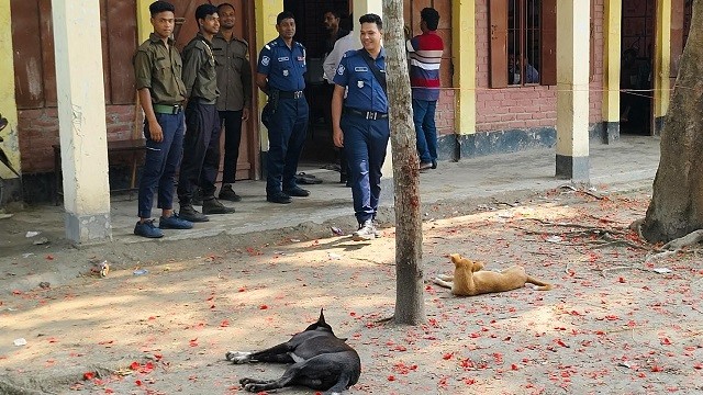 ভোটকেন্দ্রের মাঠে কুকুর, ৩ ঘণ্টায় ভোট পড়েছে মাত্র ১৯টি