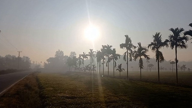 ফাইল ছবি