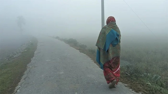 ফাইল ছবি