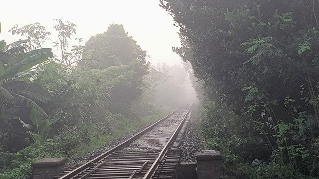 ছবি : সংগৃহীত