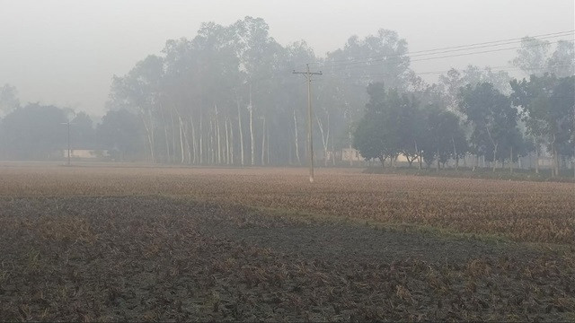 পঞ্চগড়ে টানা পাঁচ দিন তাপমাত্রা ১৩ ডিগ্রি ঘরে