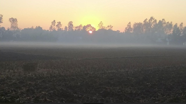 তেঁতুলিয়ায় এক সপ্তাহ ধরে বইছে মৃদু শৈত্যপ্রবাহ