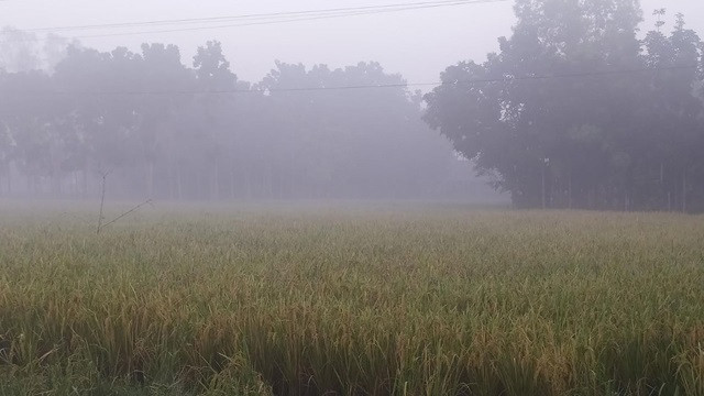 পঞ্চগড়ের তাপমাত্রা নামল ১২ ডিগ্রিতে